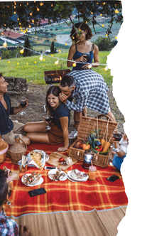 ¡Vamos de picnic! - Llevar y traer; Tener y hay; Ir + a; Verbos de cocina